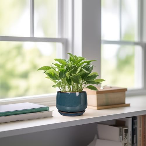 G EPGardening Ceramic Pots for Plants - 4 inch Plant Pots for Indoor Outdoor, Small Planter with Drainage Hole & Tray, Modern Succulent Pots, Round Planter, Office Decor, Home Gifts, Retro Blue - Image 6