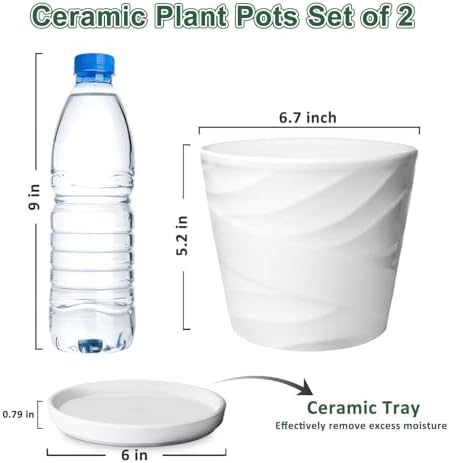 6 Inch Plant Pot,Ceramic Planter with Drainage and Saucer(6.7 In Diameter) - Image 3