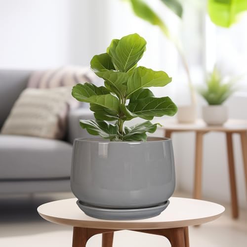 G EPGardening Ceramic Plant Pots, 9 Inch Planter, Gray - Image 4