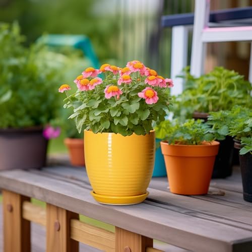 Ceramic Pots for Plants - 6 Inch Plant Pot for Indoor Plants, Ceramic Planter with Drainage Hole and Saucer, Round Decorative Flower Pots, Desk Home Decor, Plant Lover Gifts, Glossy-Yellow - Image 4