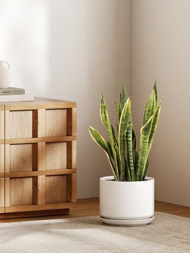 LE TAUCI Ceramic Pots for Plants, 10 Inch Plant Pot with Drainage Hole & Saucer, Sturdy & Modern Planters for Indoor Plants, Includes Mesh Screen, Fits Snake Plant & Monstera, White - Image 2