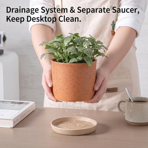 5.8 Inch Ceramic Plant Pot with Drainage Hole & Separate Saucer - Image 6