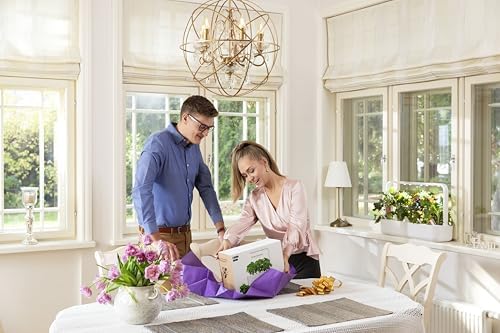 Click & Grow Indoor Herb Garden Kit with Grow Light | Smart Garden for Home Kitchen Windowsill | Easier Than Hydroponics Growing System | Vegetable Gardening Starter (3 Basil Pods Included), White - Image 3