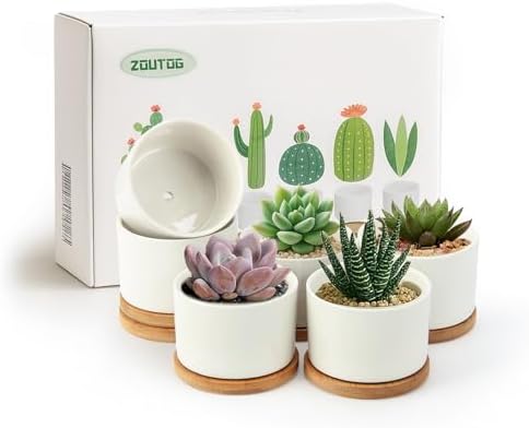 ZOUTOG 6 Pack 3.1" Ceramic Succulent Pots,White Planter with Drainage Tray by ZOUTOG