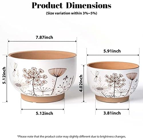 Terracotta Pots, 8+6 Inch Plant Pots, 2 Pcs with Drainage Holes - Image 5