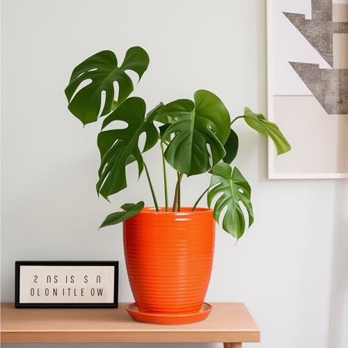 8 Inch Plant Pot, Ceramic Planters for Plants with Drainage and Saucer, Orange - Image 3