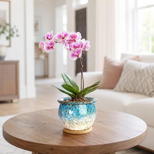 Plant Pots, 4.5 Inch Plant Pots for Indoor, Small Ceramic Planter with Tray - Image 5