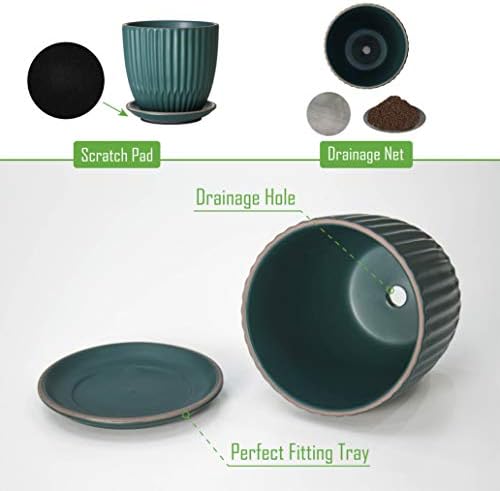 D'vine Dev 2-Pack Stoneware Planter Pots, 4.5/5.8 in, Deep Teal, 99-D-4 - Image 4