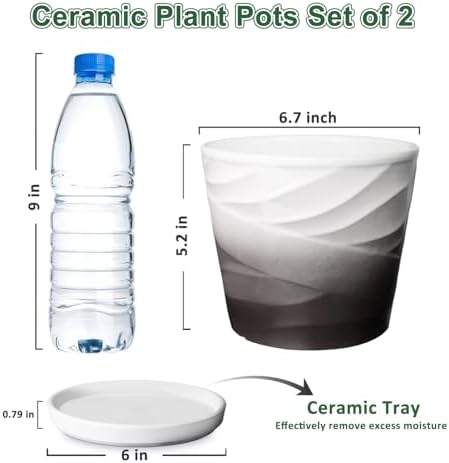 Ceramic Plant Pots, 6 Inch, Set of 2 - Image 2