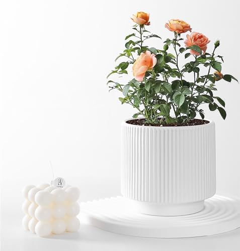 Ceramic 4.9+6.3 inch Planters, Modern Home and Office Flowerpot, Indoor and Outdoor Flowerpot with Drainage Hole (White) - Image 4