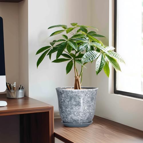 Ceramic Plant Pots - 8 Inch Plant Pot with Drainage Hole and Saucer, Round Planter for Indoor Outdoor, Modern Flower Pots, Decorative Planters, Home Room Office Decor, Gardening Gifts, Grey - Image 3
