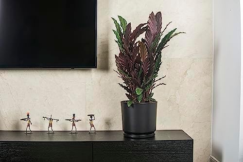 Ekirlin 9 inch Plant Pots,Ceramic Flower Planters Indoor,Modern Succulents Containers with Drain Hole Saucer,Decorate Home,Office & Outdoor (Black) - Image 5