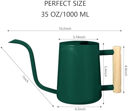 Watering Can Indoor Plants, 35oz Small Indoor Stainless Steel Metal Watering Can Modern Decorative Watering Pot with Long Spout for Indoor House Plant Bonsai Garden Flowers (Alpinegreen) - Image 7