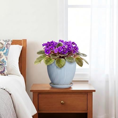 Ceramic Flower Pots, 6 Inch Plant Pot for Indoor Plants, Modern Ceramic Planter with Drainage Hole and Saucer, Small Orchid Pots, Home Decor, Gifts for Plant Lovers Women Men, Light Blue - Image 7