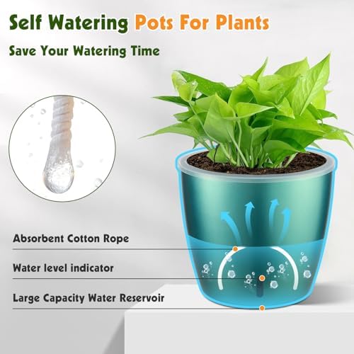Self Watering Pots for Indoor Plants, 4-Pack 6.7'' Self Watering Planter with Drainage Holes, Small African Violet Pots with Water Indicator, Clear Wick Orchid Pot, Blue Gold - Image 2