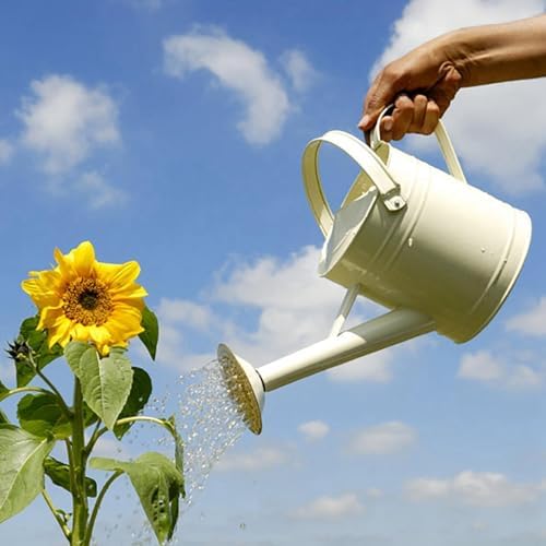 Watering Can Outdoor, 0.25 Gallon Metal Small Capacity Watering Can Indoor Plants with Sprinkler Head,Decorative Lightweight Durable Watering Cans for Garden Lawn Bonsai Greenhouse (White) - Image 3