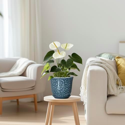 Ceramic Pots for Plants - 5.6 Inch Plant Pot for Indoor Outdoor, Round Succulent Orchid Pot with Drainage Hole and Saucer, Modern Small Flower Pot, Room Home Decor, Plant Lover Gifts, Blue - Image 7