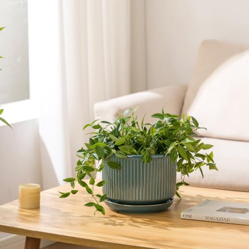 SURE YUESI Ceramic Plant Flower Pots for Indoor Plant, 4.33"+5.5"+6.88", Set of 3, Orchid Pot with Drainage Hole, Saucer and Hole Mesh Pad for Succulents, Herbs and African Violet (Light Blue) - Image 5