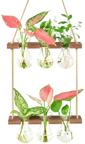 XXXFLOWER Wall Hanging Propagation Station 3 Bulb Vase 2 Tiers Brown by XXXFLOWER