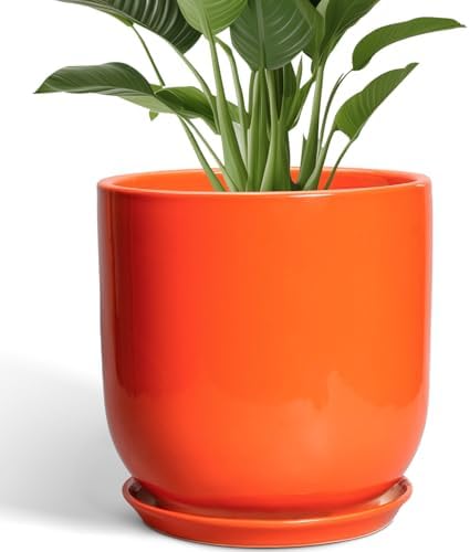 12 Inch Pots for Plants - Ceramic Planter with Drainage Hole and Saucer, Decorative Round Large Plant Pot for Indoor Outdoor Plants, Plant Lover Gifts, Home Office Garden Decor, Orange by SUNPOTFOR