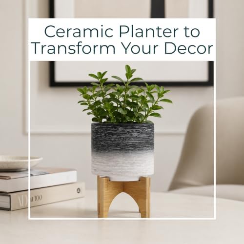 Modern Ceramic Planter with Wooden Stand – Stoneware Plant Pot Holder, Stylish Indoor & Outdoor Home Decor for Living Room, Bedroom, Office, or Garden, Plant Stand Indoor – 6", Gray & White - Image 3