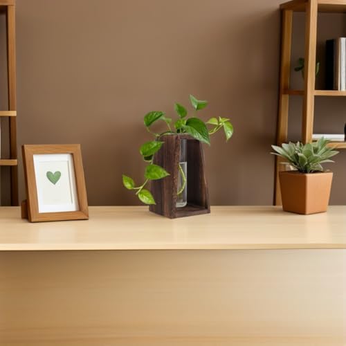 Wood Test Tube Vase Stand for Plant Propagation, Single Tube Base - Image 6