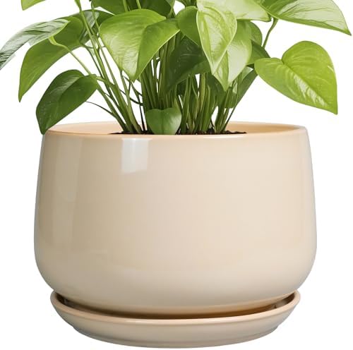 G EPGardening Ceramic Plant Pots - 9 Inch Round Planter, Ceramic Flower Pots with Drainage and Saucer, Modern Indoor Outdoor Planter, Room Decor, Home Gifts, Beige by GEPGardening