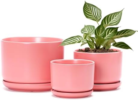 Ceramic Plant Pots,Planters with Drainage Hole&Saucer 3 Pack(Matte Orange) by TonSin