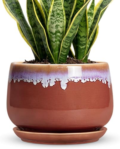 9 Inch Ceramic Planter, Indoor Planters with Drainage, Red-Purple by Fivepot