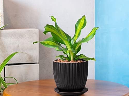 D'vine Dev 2-Pack Stoneware Planter Pots, 4.5/5.8 in, Black, 99-D-2 - Image 2