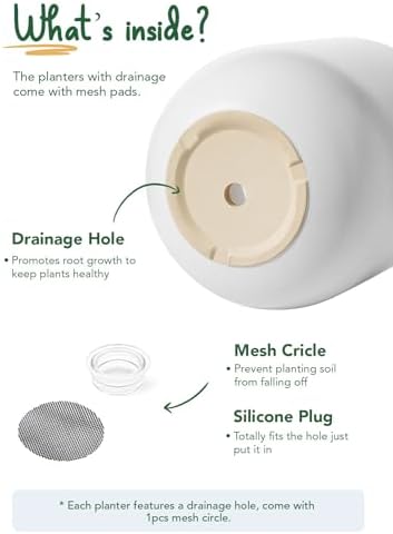 LE TAUCI 10 Inch Plant Pot, Ceramic Pots for Plants with Drainage Hole and Rubber Plug, Plant Pots Indoor for Olive Tree, Cylinder Planter Pot for Home Patio Office, White - Image 5
