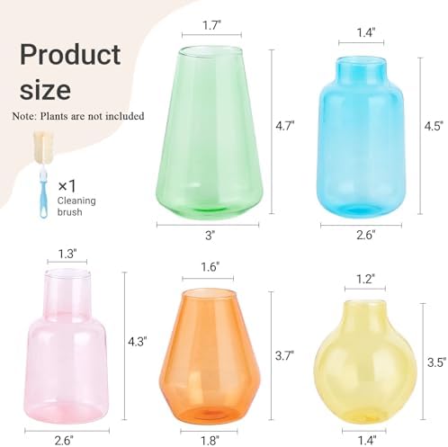 Mkono Propagation Vases 5 Glass Jars Station for Hydroponic Plants,Color - Image 5