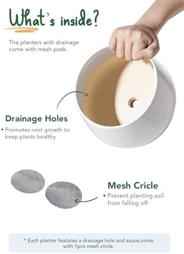 LE TAUCI Ceramic Plant Pots, 4.1+5.1+6.5 inch, Set of 3, Planters with Drainage Hole and Saucer, Indoor Flower Pot with Hole Mesh Pad, Gifts for Mom, White - Image 4