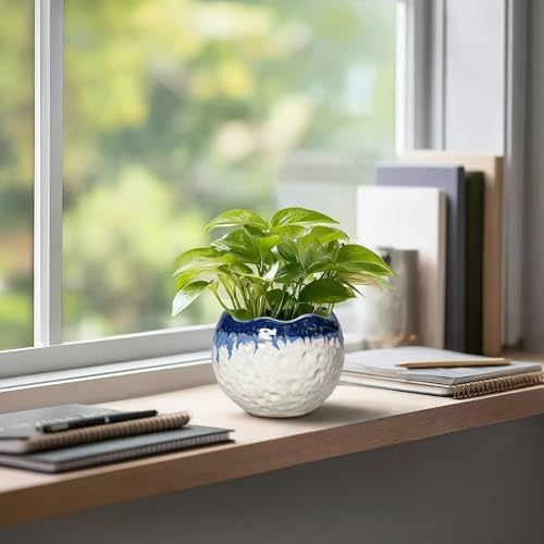 4 Inch Plant Pots, Ceramic Pots for Plants, Beige-Blue - Image 5