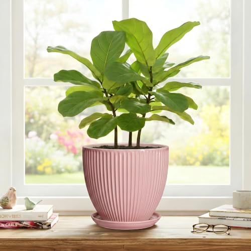 8 Inch Plant Pots Indoor, Ceramic Plant Pot for Snake Plants Flowers, Round Planters with Drainage Hole and Saucer, Decorative Modern Flower Pot, Kitchen Decor, Gifts for Plant Lovers, Pink - Image 7