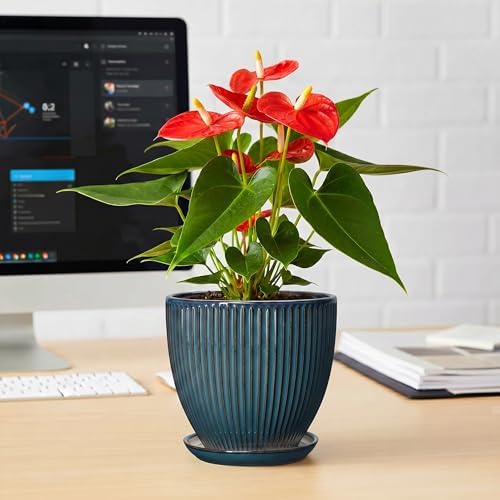6 Inch Plant Pot, Ceramic Flower Pots for Indoor Plants, Round Planters with Drainage Hole and Saucer, Decorative Small Modern Flower Pots, Home Room Decor, House Warming Gifts, Retro Blue - Image 6