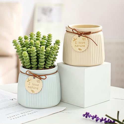 Pastel Ceramic Succulent Pots, Small Mini Flower Planter Pots with Jute Tag, Decorative Indoor Cactus Plant Container for Home Windowsill Desktop Decor (Blue) - Image 4