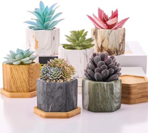 Ziliny Marbling Ceramic Flower Pot Succulent Small Plant Cactus Herbs Planter Ceramic Pot with Drainage Hole Matte Container(6 Pcs,Hexagon Style) by Ziliny