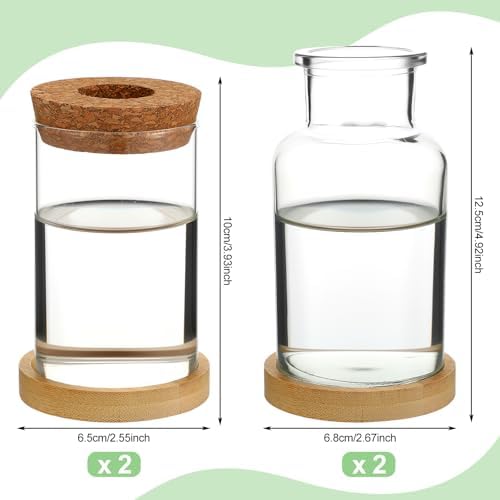 Layhit 4 Pcs Plants Propagation Stations vases Glass Planters with Wooden Lid and Bamboo Stand for Hydroponic Plants Gardening Gifts for Women Mom Home Office Tabletop Decoration(Wide Mouth Style) - Image 5