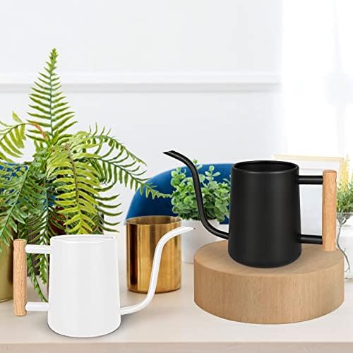 Watering Can Indoor Plants, 35 oz/1000 ml Metal Stainless Steel Watering Can Pot with Long Spout for Indoor House Plants Bonsai Outdoor Garden Flower Decorative (White) - Image 2