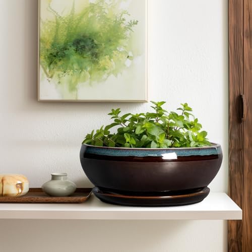 SQOWL Bonsai Planter 12 Inch, Ceramic Large Succulent Pots, Blue-Brown - Image 5