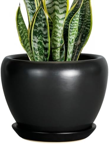 Ceramicfor Ceramic Planter Pot - 8 Inch Plant Pot with Drainage Hole and Saucer Round Planter for Indoor Plants Modern Outdoor Flower Pot for House Balcony Black by Ceramicfor