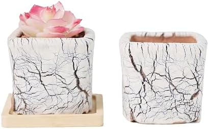 Ceramic Planter Pots w/Drainage, 3 Inch Set of 2, Indoor Outdoor Home Patio Garden Plants Flower Succulent, Crackle-Texture Square by Unknown
