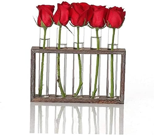Tube Shape Glass Vase with 3 or 5 Holes Wood Stand Decoration Flower Vontainer for Hydroponics Plant Transparent Flower Arrangement Vase-5 Tube - Image 4
