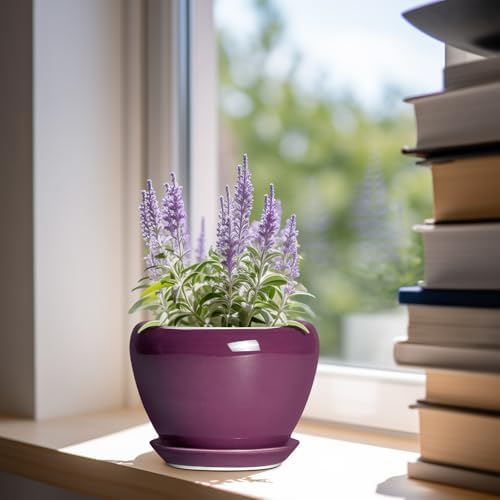 Ceramicfor Ceramic Pots for Plants 6 Inch - Ceramic Plant Pots with Drainage Hole and Saucer, Glaze Round Planter for Succulent Plants, Gifts for Plant Lovers, Garden Home Decor, Purple - Image 2