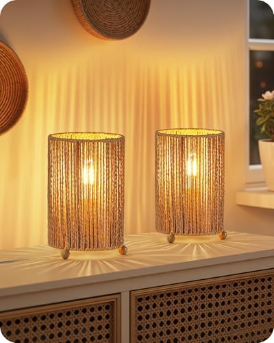Small Rattan Table Lamps Set of 2, Boho Bedside Lamps Set of 2, Handwoven Paper Lampshade, 4W 2400K LED Bulb Included, Boho Desk Lamp, Nightstand Lamp for Bedroom, Living Room, S11TLP205 by GOEBLESON