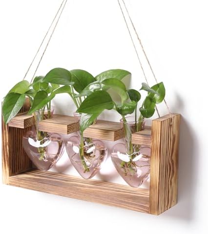Plant Terrarium Propagation Stations Hydroponics by MTsigns