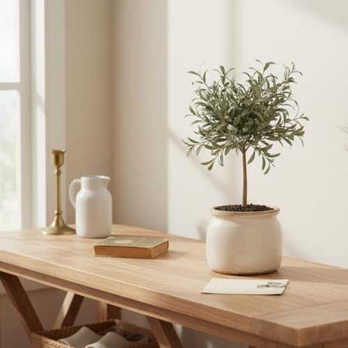 Ceramic Planter & Vase for Wabi Sabi Decor, Nordic Minimalist Flower Pot - Image 6