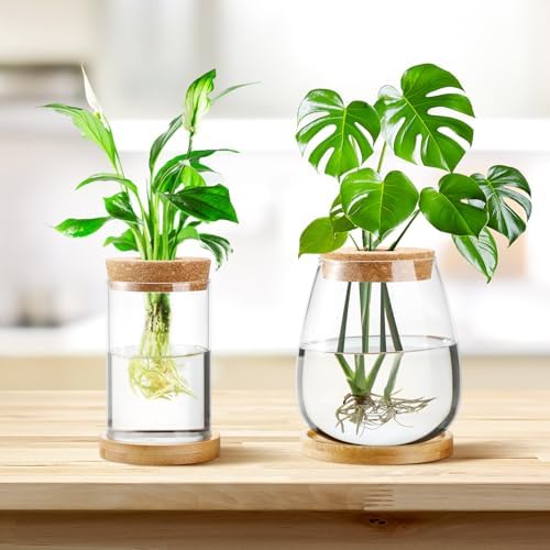 Layhit 4 Pcs Plants Propagation Stations vases Glass Planters with Wooden Lid and Bamboo Stand for Hydroponic Plants Gardening Gifts for Women Mom Home Office Tabletop Decoration(Classic Style) - Image 4