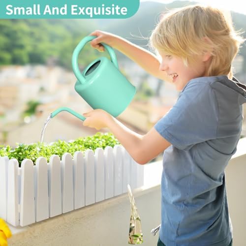 Watering Can, Stainless Steel Watering Can for Indoor & Outdoor Plants, 1L/35oz Long Spout Water Can with Handle, Rust-Proof Plant Watering Pot for House Plants, Garden Flowers - Image 2